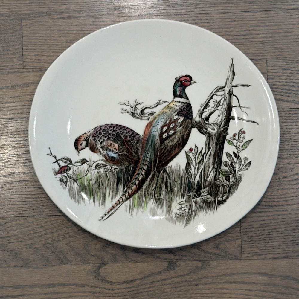 Johnson Brothers Game Birds Pheasant LG Oval Serving Plate Made In England 11"